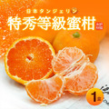 空運日本愛媛.和歌山特秀蜜柑1盒(1kg/禮盒) 空運日本愛媛.和歌山特秀蜜柑1盒(1kg/禮盒)