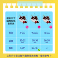 空運|28-30mm|XJ 智利櫻桃1kg|買一送一|共2盒_1 空運|28-30mm|XJ 智利櫻桃1kg|買一送一|共2盒_1