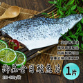 金目鱸魚片(200-300g/片)-任選 金目鱸魚片(200-300g/片)-任選