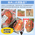 中段無肚洞鮮魚拼盤12片(鮭魚6片+大比目魚6片)_6 中段無肚洞鮮魚拼盤12片(鮭魚6片+大比目魚6片)_6