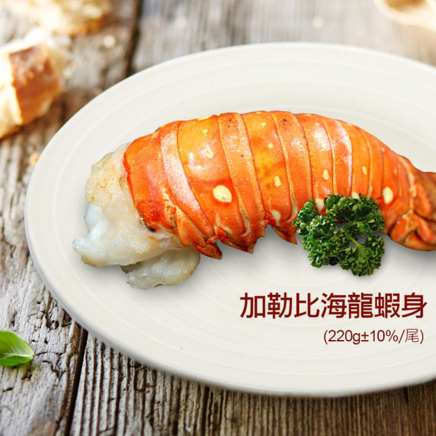 8盎司-加勒比海龍蝦身(220g/尾)-任選 8盎司-加勒比海龍蝦身(220g/尾)-任選