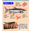 智利鮭魚整尾切片|代客切好|3kg|真空_2 智利鮭魚整尾切片|代客切好|3kg|真空_2