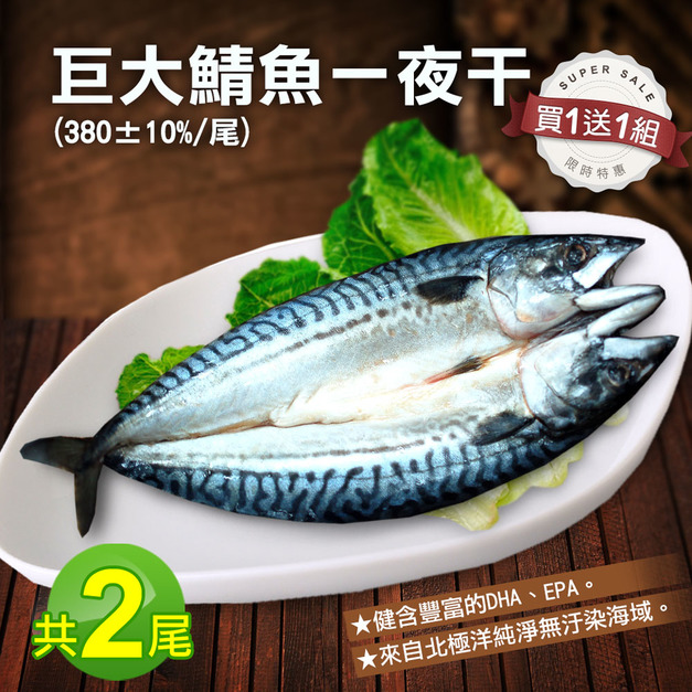 ★買1送1★ 挪威鯖魚一夜干380g*限購1組*-任選