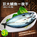 挪威鯖魚一夜干380gx3尾-免運 挪威鯖魚一夜干380gx3尾-免運
