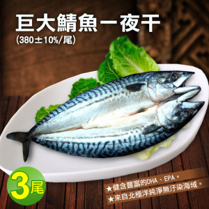 挪威鯖魚一夜干380gx3尾-免運 挪威鯖魚一夜干380gx3尾-免運