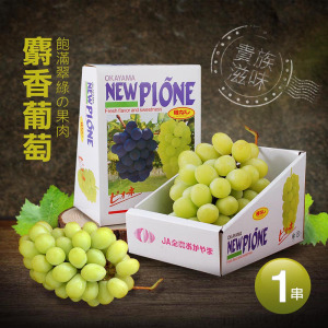 日本空運無籽大麝香葡萄1串(625g/串/禮盒) 日本空運無籽大麝香葡萄1串(625g/串/禮盒)