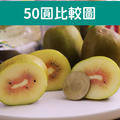日本福岡空運|彩虹紅心奇異果|2袋X5顆|350克/袋_3 日本福岡空運|彩虹紅心奇異果|2袋X5顆|350克/袋_3