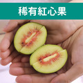 日本福岡空運|彩虹紅心奇異果|3袋X5顆|350克/袋_1 日本福岡空運|彩虹紅心奇異果|3袋X5顆|350克/袋_1