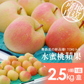 日本青森TOKI水蜜桃蘋果禮盒1盒(9顆/盒/2.5kg)-常溫配送 日本青森TOKI水蜜桃蘋果禮盒1盒(9顆/盒/2.5kg)-常溫配送