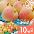 日本青森TOKI水蜜桃蘋果40顆/10kg-常溫配送 日本青森TOKI水蜜桃蘋果40顆/10kg-常溫配送