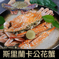 XL斯里蘭卡公花蟹4隻(400UPg/隻)_2 XL斯里蘭卡公花蟹4隻(400UPg/隻)_2