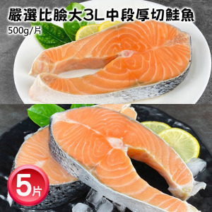 巨無霸3L厚切-智利鮭魚500gX5片 巨無霸3L厚切-智利鮭魚500gX5片