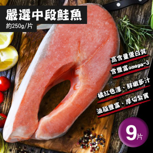 中段智利鮭魚 250GX9片 中段智利鮭魚 250GX9片