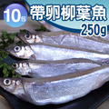 帶卵柳葉魚10包(約250g/包)-免運 帶卵柳葉魚10包(約250g/包)-免運