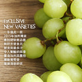 美國香草象牙綠無籽葡萄3包禮盒組(1kg/包)_2 美國香草象牙綠無籽葡萄3包禮盒組(1kg/包)_2