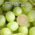 美國香草象牙綠無籽葡萄2包(1kg/包)_3 美國香草象牙綠無籽葡萄2包(1kg/包)_3