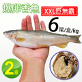 巨無霸宜蘭爆卵母香魚2盒(6尾裝/1kg/盒) 巨無霸宜蘭爆卵母香魚2盒(6尾裝/1kg/盒)
