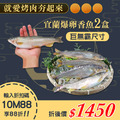 ★會員限定88折★宜蘭爆蛋母香魚2盒(12尾裝/盒) ★會員限定88折★宜蘭爆蛋母香魚2盒(12尾裝/盒)