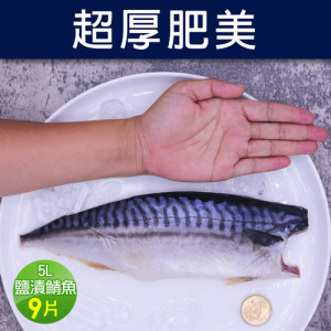 5L大挪威薄鹽鯖魚9片(250g/片) 5L大挪威薄鹽鯖魚9片(250g/片)