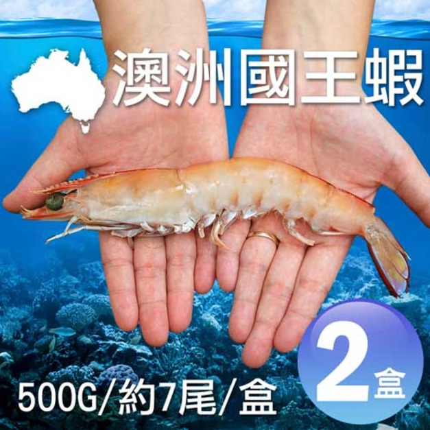 澳洲大堡礁|野生|國王蝦500g |2盒|約7尾