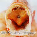 巨無霸10/15規格-澳洲大堡礁野生國王蝦500G(約7尾)-任選_4 巨無霸10/15規格-澳洲大堡礁野生國王蝦500G(約7尾)-任選_4