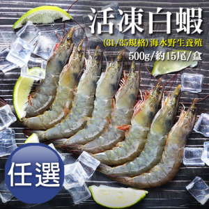 31/35|海水養殖白蝦500g|約15尾|任選 31/35|海水養殖白蝦500g|約15尾|任選