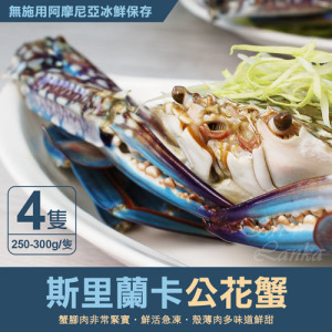 XL|斯里蘭卡|公花蟹250-300g |4隻 XL|斯里蘭卡|公花蟹250-300g |4隻