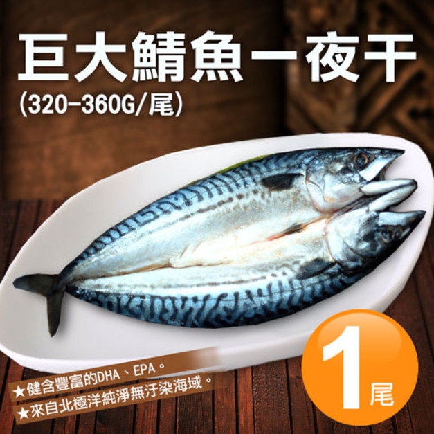 北極洋|特大|鯖魚一夜干320-360g|任選
