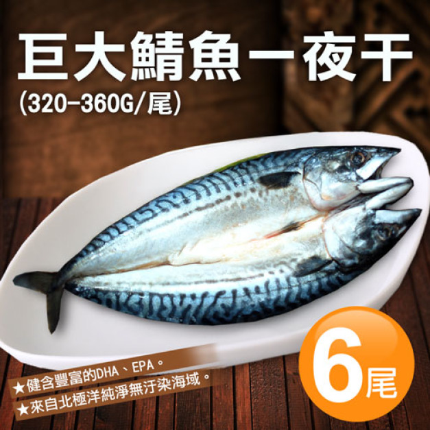 北極洋|特大|鯖魚一夜干320-360g|6尾 北極洋|特大|鯖魚一夜干320-360g|6尾