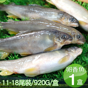宜蘭|帶卵母香魚1盒|11-18尾裝/920g/盒|任選 宜蘭|帶卵母香魚1盒|11-18尾裝/920g/盒|任選