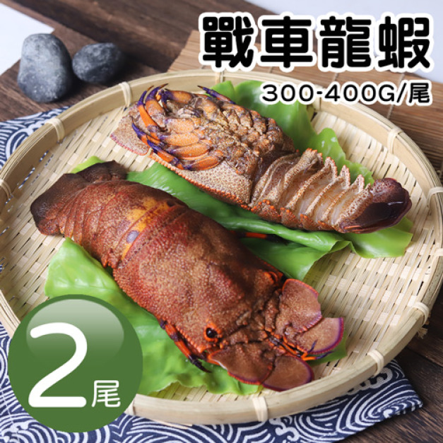 戰車龍蝦300-400g|2尾 戰車龍蝦300-400g|2尾