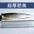 挪威|3L厚片薄鹽鯖魚|210g|10片+10片,共20片_3 挪威|3L厚片薄鹽鯖魚|210g|10片+10片,共20片_3