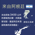 ◆會員限定折100|生食級|天使紅蝦仁|2包|454g/包_1 ◆會員限定折100|生食級|天使紅蝦仁|2包|454g/包_1
