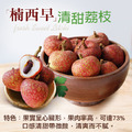 預購 ★ 純果粒|楠西早生荔枝|3斤盒_2 預購 ★ 純果粒|楠西早生荔枝|3斤盒_2