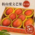 現貨|特大|枋山愛文芒果 5斤|6-8顆/3KG/盒 ◆輸碼現折118 現貨|特大|枋山愛文芒果 5斤|6-8顆/3KG/盒 ◆輸碼現折118
