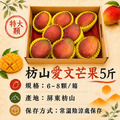 現貨|特大|枋山愛文芒果 5斤|6-8顆/3KG/盒 ◆輸碼現折118_4 現貨|特大|枋山愛文芒果 5斤|6-8顆/3KG/盒 ◆輸碼現折118_4