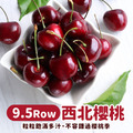 買1送1|9.5ROW華盛頓櫻桃(規格600g~1kg)|空運美國西北櫻桃禮盒 ◆輸碼現折118 買1送1|9.5ROW華盛頓櫻桃(規格600g~1kg)|空運美國西北櫻桃禮盒 ◆輸碼現折118