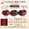 8.5ROW華盛頓櫻桃(規格1kg~1.8kg)|巨無霸 空運美國西北櫻桃禮盒 ◆輸碼現折118_2 8.5ROW華盛頓櫻桃(規格1kg~1.8kg)|巨無霸 空運美國西北櫻桃禮盒 ◆輸碼現折118_2