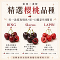 8.5ROW華盛頓櫻桃(規格1kg~1.8kg)|巨無霸 空運美國西北櫻桃禮盒 ◆輸碼現折118_5 8.5ROW華盛頓櫻桃(規格1kg~1.8kg)|巨無霸 空運美國西北櫻桃禮盒 ◆輸碼現折118_5