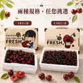 巨無霸8.5ROW華盛頓櫻桃(規格1kg~1.8kg)_1 巨無霸8.5ROW華盛頓櫻桃(規格1kg~1.8kg)_1
