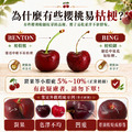 特大9R紅白櫻桃雙拼1.2kg (白櫻桃600g+紅櫻桃600g) ◆輸碼現折118_3 特大9R紅白櫻桃雙拼1.2kg (白櫻桃600g+紅櫻桃600g) ◆輸碼現折118_3