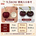 9.5ROW華盛頓櫻桃(規格2.2kg~5kg) ◆輸碼現折M710_3 9.5ROW華盛頓櫻桃(規格2.2kg~5kg) ◆輸碼現折M710_3