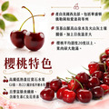 買1送1_9R華盛頓櫻桃(規格600g~1kg) ◆輸碼現折M710_2 買1送1_9R華盛頓櫻桃(規格600g~1kg) ◆輸碼現折M710_2
