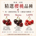9.5ROW華盛頓櫻桃(規格2.2kg~5kg) ◆輸碼現折M710_6 9.5ROW華盛頓櫻桃(規格2.2kg~5kg) ◆輸碼現折M710_6