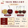 買1送1_9R華盛頓櫻桃(規格600g~1kg) ◆輸碼現折M710_4 買1送1_9R華盛頓櫻桃(規格600g~1kg) ◆輸碼現折M710_4