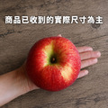 紐西蘭ENVY愛妃蘋果 10KG(30-35顆)X 1箱|脆甜多汁 /不易氧化變色_1 紐西蘭ENVY愛妃蘋果 10KG(30-35顆)X 1箱|脆甜多汁 /不易氧化變色_1