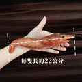 檸檬牌(特大)天使紅蝦1~4盒|( 2kg)生食等級/L1規格(約30尾/盒)_2 檸檬牌(特大)天使紅蝦1~4盒|( 2kg)生食等級/L1規格(約30尾/盒)_2