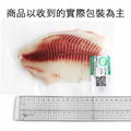 特大鯛魚片清肉150-200g-任選_3 特大鯛魚片清肉150-200g-任選_3