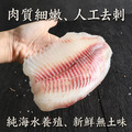 特大鯛魚片清肉150-200g-任選_1 特大鯛魚片清肉150-200g-任選_1