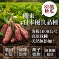 特A級-紫皮栗香地瓜(1kg/包)-任選_2 特A級-紫皮栗香地瓜(1kg/包)-任選_2